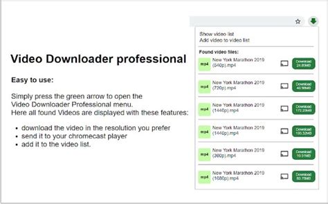 badassdownloader|7 Best Video Downloaders for Chrome .